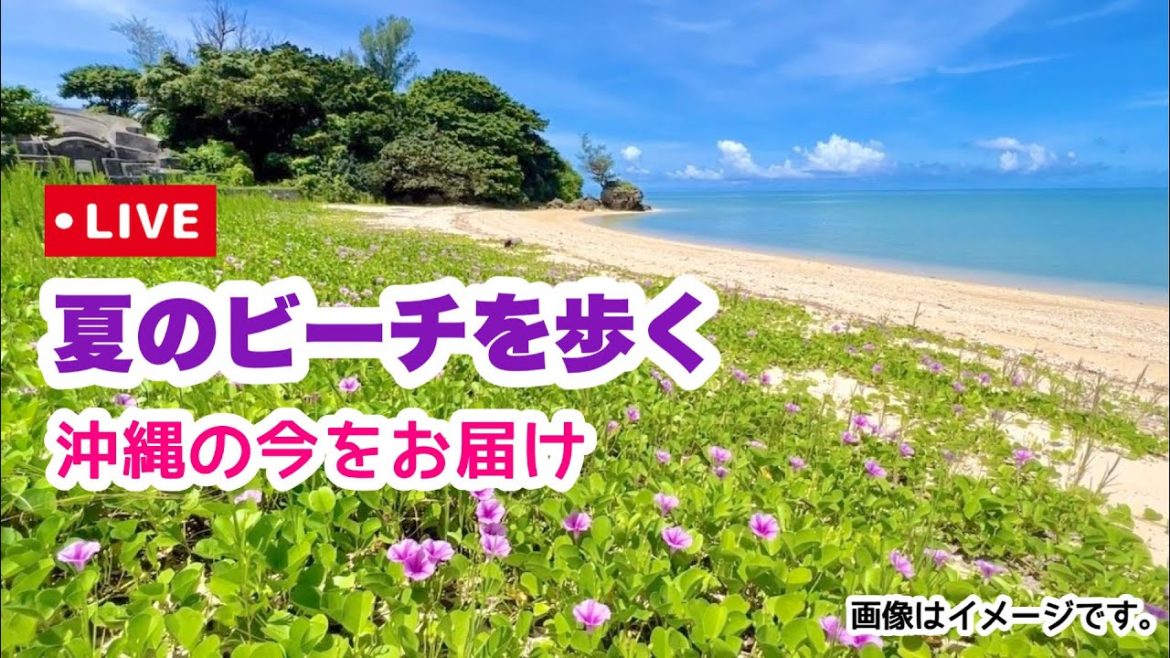 【夏の沖縄ビーチを歩く】ライブ実況 8月20日(土)10:00〜