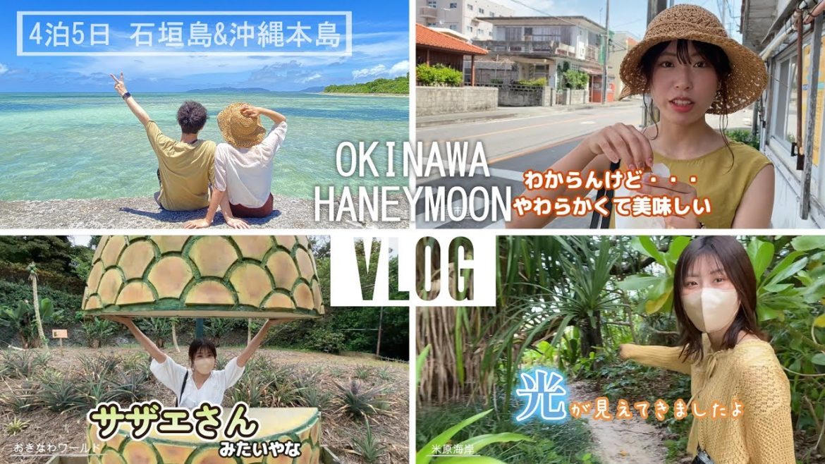 【vlog】石垣島&沖縄本島 4泊5日 新婚旅行記 レンタカーで計18スポット回ってきた! 【vlog】石垣島&沖縄本島 4泊5日 新婚旅行記 レンタカーで計18スポット回ってきた!