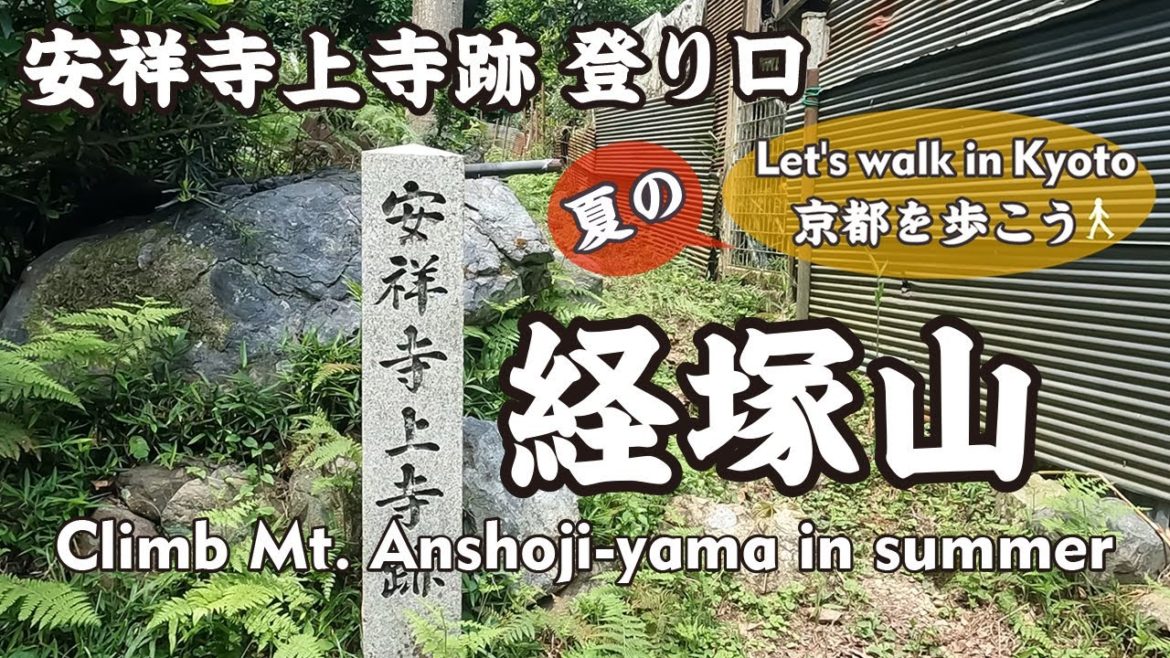 Kyoto Japan【4K】安祥寺上寺跡登り口から経塚山に登る（石碑→安祥寺林道段野谷線→鉄塔→安祥寺林道→山頂 標高400m）Climb Mt. Anshoji-yama in summer