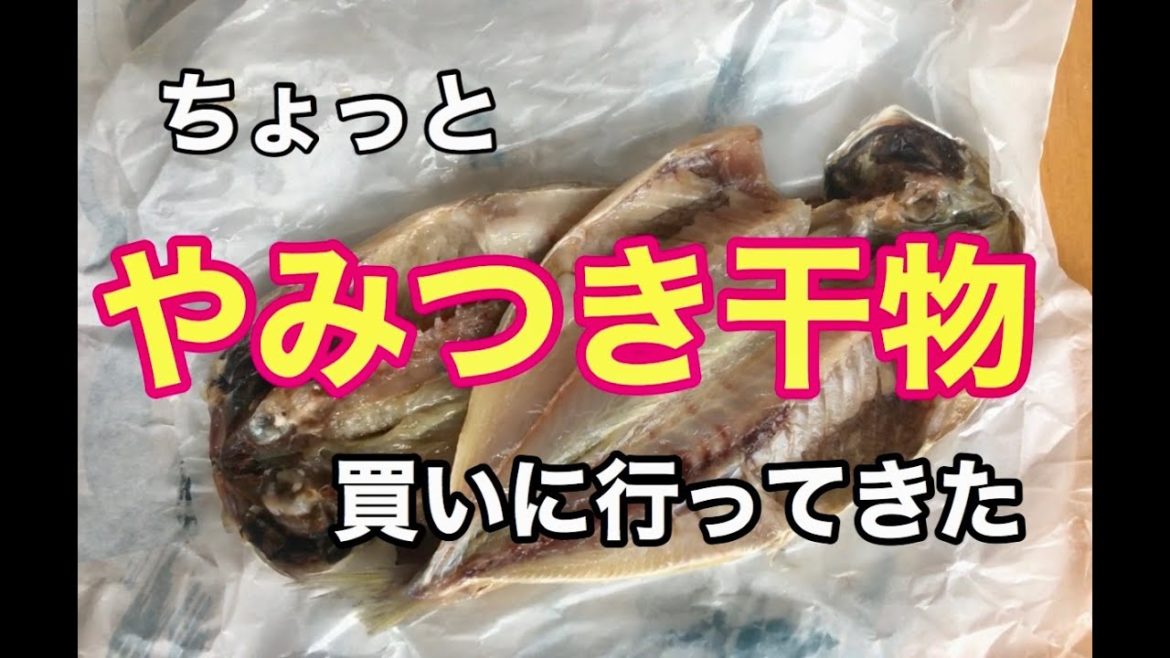 【アジの干物】美味しい干物が食べたい【前編】