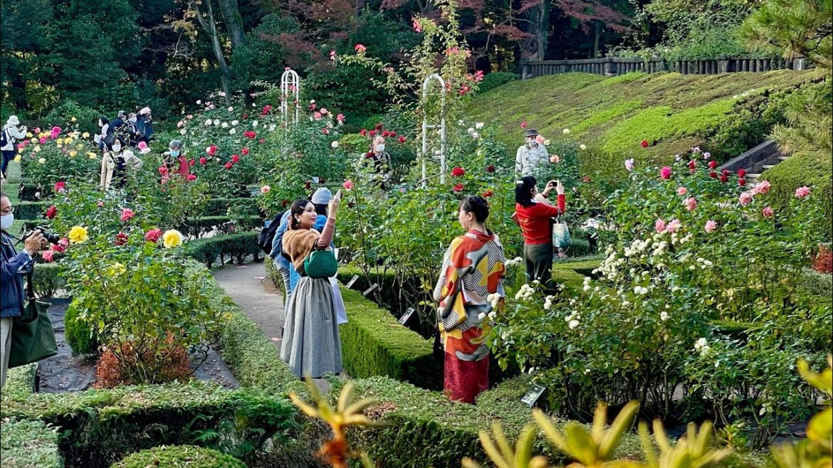 [4K] Tokyo walk, Kyu-Furukawa Gardens, Virtual Tour