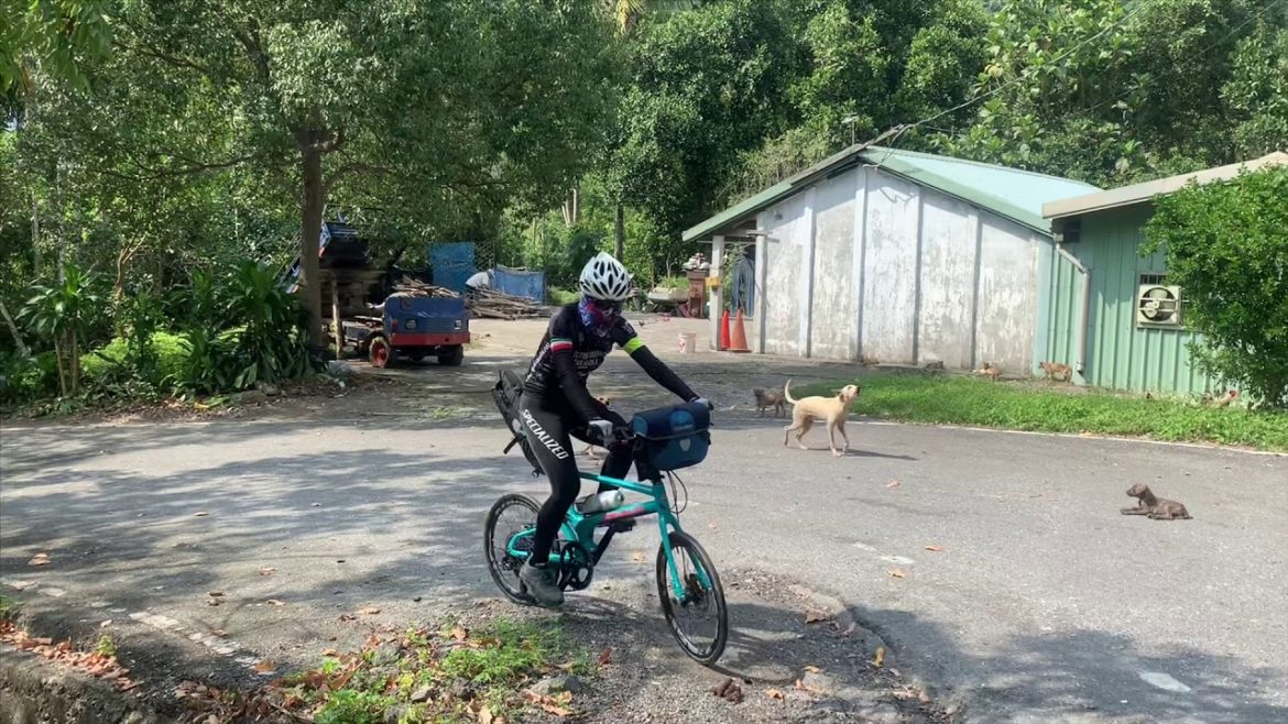 Taiwan cycling tour / Taitung to Yuli (14 Nov 2019) Taiwan cycling tour / Taitung to Yuli (14 Nov 2019)