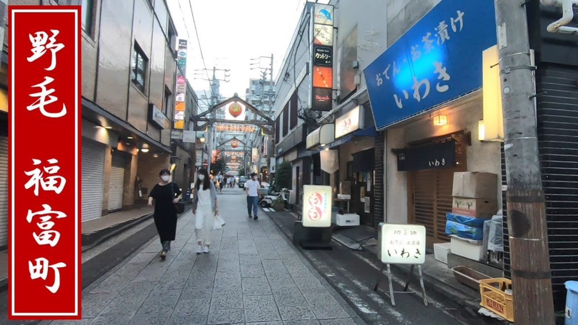 【Yakuza7-ijincho】If you enjoy in Yokohama japan, I recommend Noge bar street. 野毛 福富町 【Yakuza7-ijincho】If you enjoy in Yokohama japan, I recommend Noge bar street. 野毛 福富町