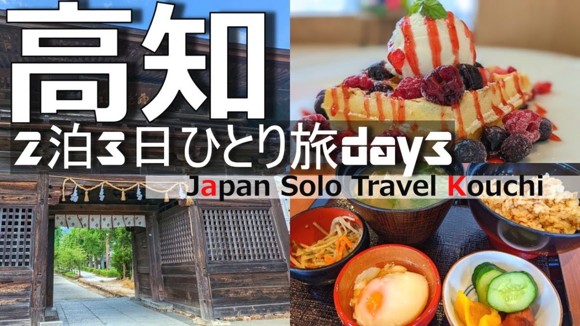 【高知 ひとり旅③】オシャレなカフェでグルメを堪能し、土佐神社で観光を楽しむ最高の1日