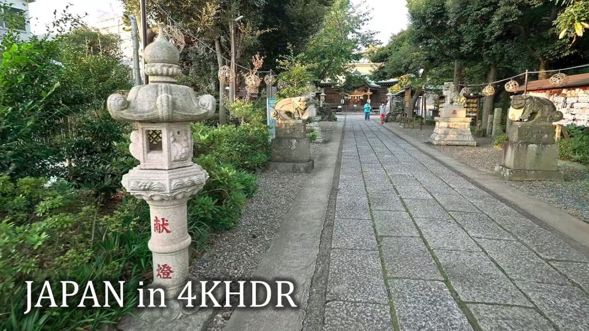 Walking from day to night in Tsudanuma, Chiba・4K HDR Walking from day to night in Tsudanuma, Chiba・4K HDR