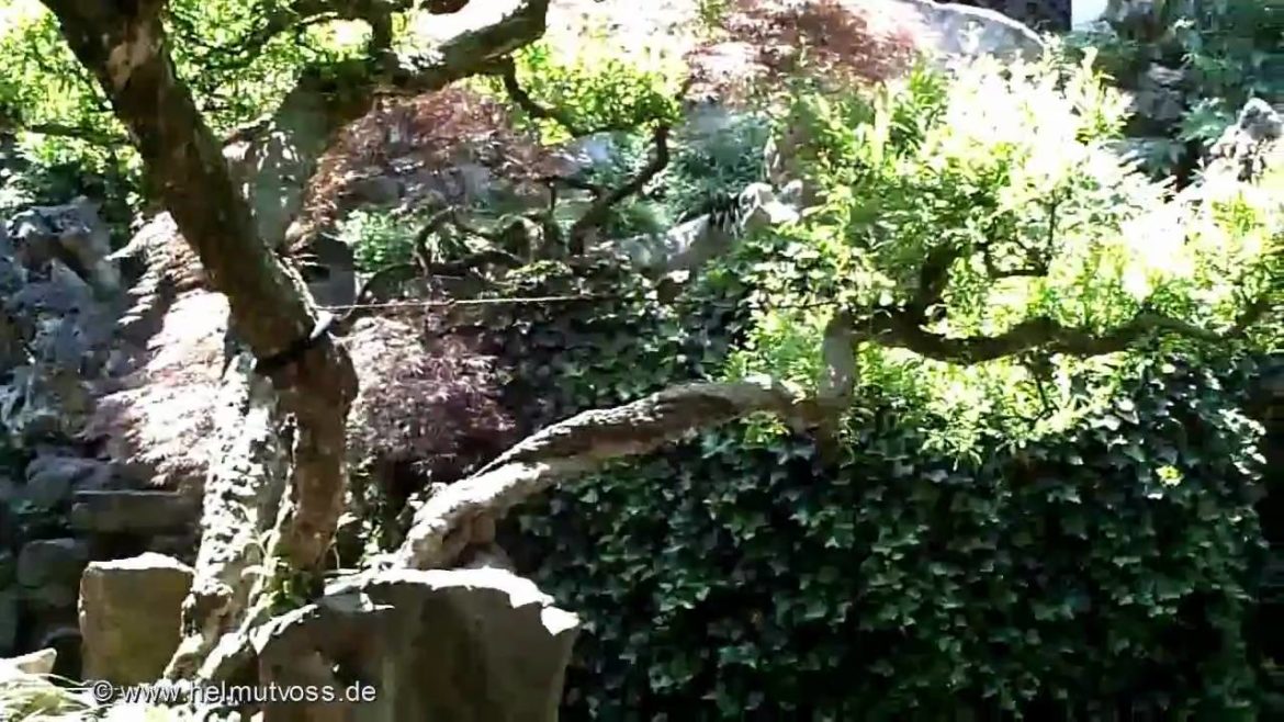 豫园 Yu-Yuan-Garten