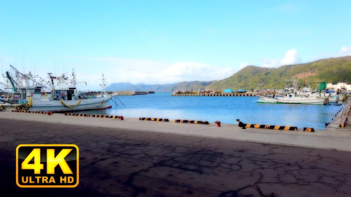 Toyoura, Hokkaido|Japan Walking Tour【4K】 Toyoura, Hokkaido|Japan Walking Tour【4K】