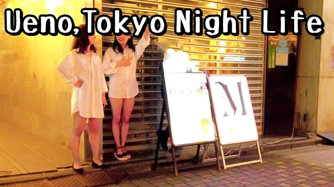 Tokyo Walk Night Joy Paradise careful not to be fooled, red light area district｜Ueno Japan  東京 上野 4k