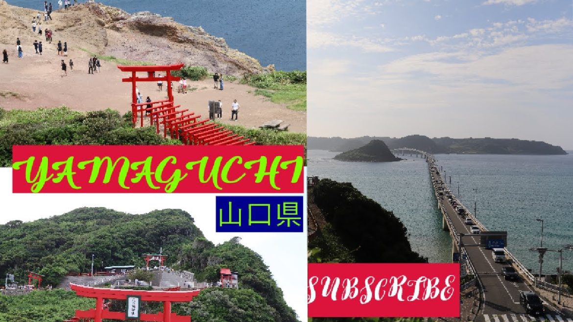 Yamaguchi (山口県) #nepalivlog #japantour #japan