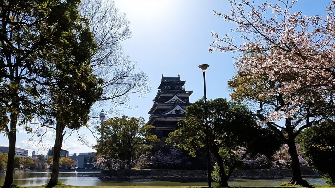 Virtual Cycling Japan | Cherry blossoms in the moat of Hiroshima Castle.