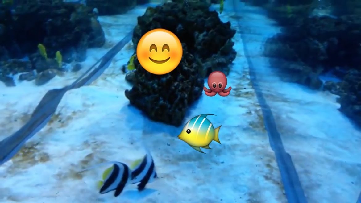 A Day in Sumida Aquarium | Trip to Japan 2017 A Day in Sumida Aquarium | Trip to Japan 2017