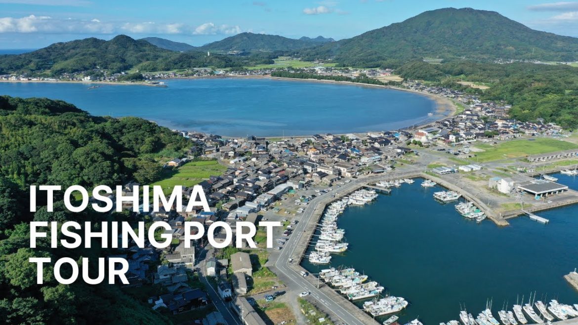 Itoshima Fishing Port Tour - Funakoshi, Itoshima / 糸島の漁港散策