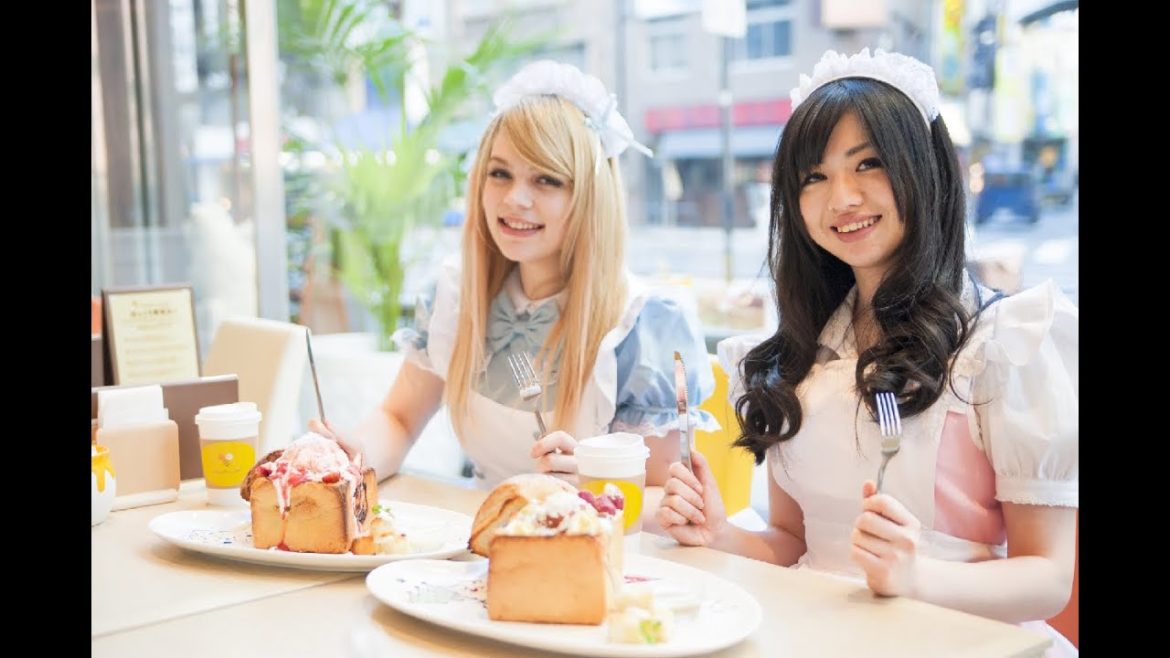 AKIHABARA COSPLAY GUIDE TOUR