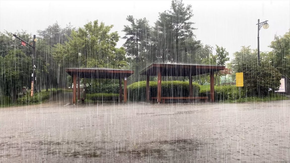 (4K) Walking in Heavy Rain | Rain Sounds for Relaxing and Sleep Harmony Relaxation | S.Korea | 폭우빗소리