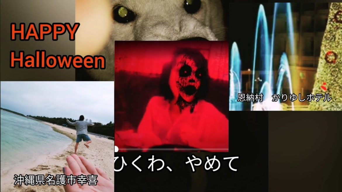 沖縄旅行 観光 OKINAWA TRIP JAPAN 沖縄旅行 観光 OKINAWA TRIP JAPAN