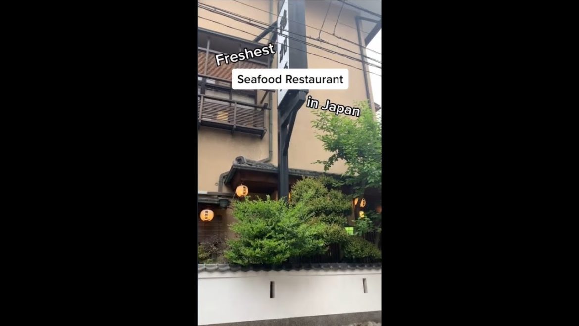 Freshest Seafood Restaurant in Japan 🍣
