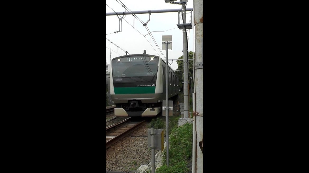 東京都品川区 湘南新宿ライン 相鉄線直通 権現台踏切を 通過する E233系 電車 #shorts 東京都品川区 湘南新宿ライン 相鉄線直通 権現台踏切を 通過する E233系 電車 #shorts