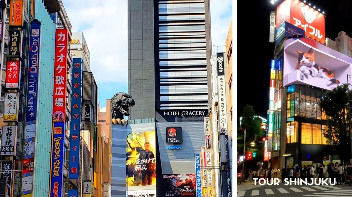 Vamos de TOUR por SHINJUKU 新宿 – ASMR Vlog TOKYO – 2022 4k Vamos de TOUR por SHINJUKU 新宿 - ASMR Vlog TOKYO - 2022 4k