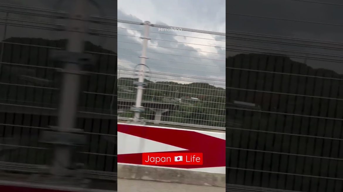 Japan Life 🇯🇵 @BUSINESS TALK NEPAL @himal vlogs #himalvlog