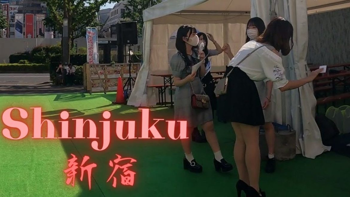 West side Shinjuku Tokoyo walking tour. 新宿西口を散歩【4K】 West side Shinjuku Tokoyo walking tour. 新宿西口を散歩【4K】