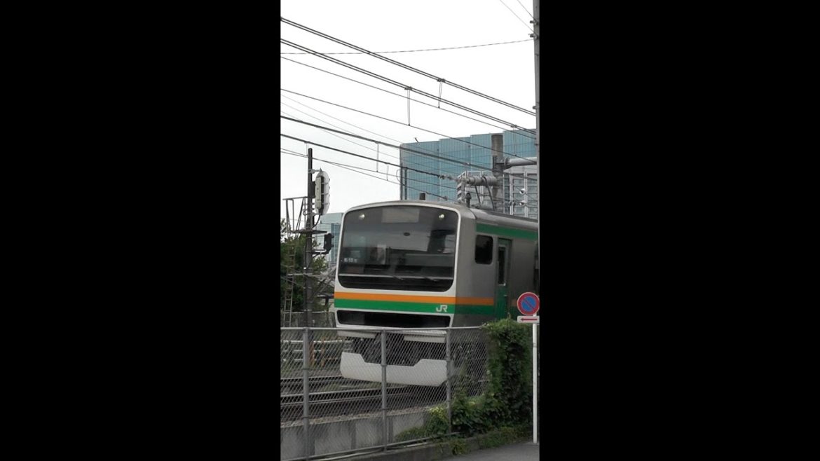 東京都品川区 湘南新宿ライン 相鉄線直通 列車 しながわ中央公園を通過する E231系 電車 #shorts