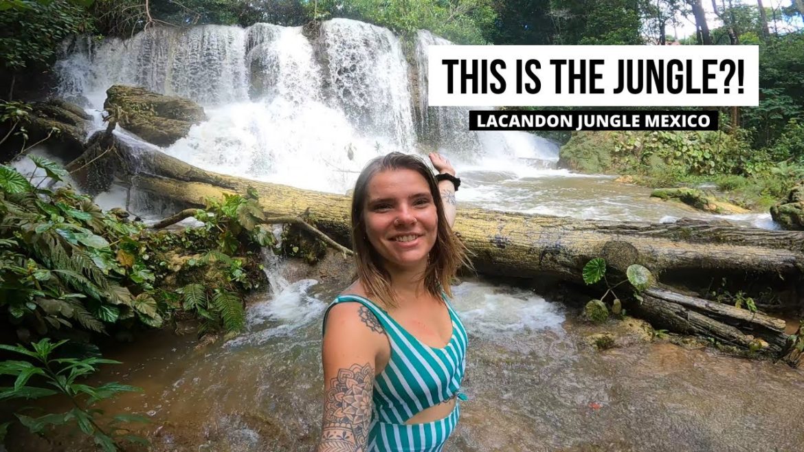Exploring the Lacandon Jungle in Mexico! (Hidden Waterfalls, Mayan Ruïns and Adventure) Exploring the Lacandon Jungle in Mexico! (Hidden Waterfalls, Mayan Ruïns and Adventure)