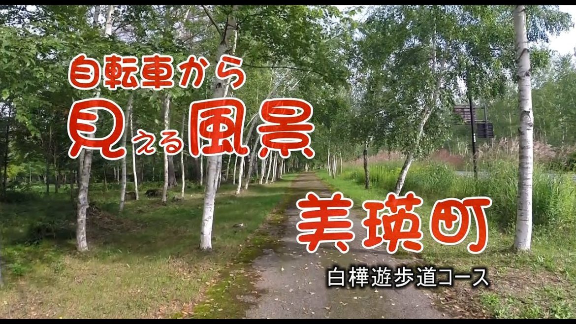【自転車から見える風景】 北海道美瑛町　白金街道　（白樺遊歩道コース）Biei promenade course　Hokkaido Japan