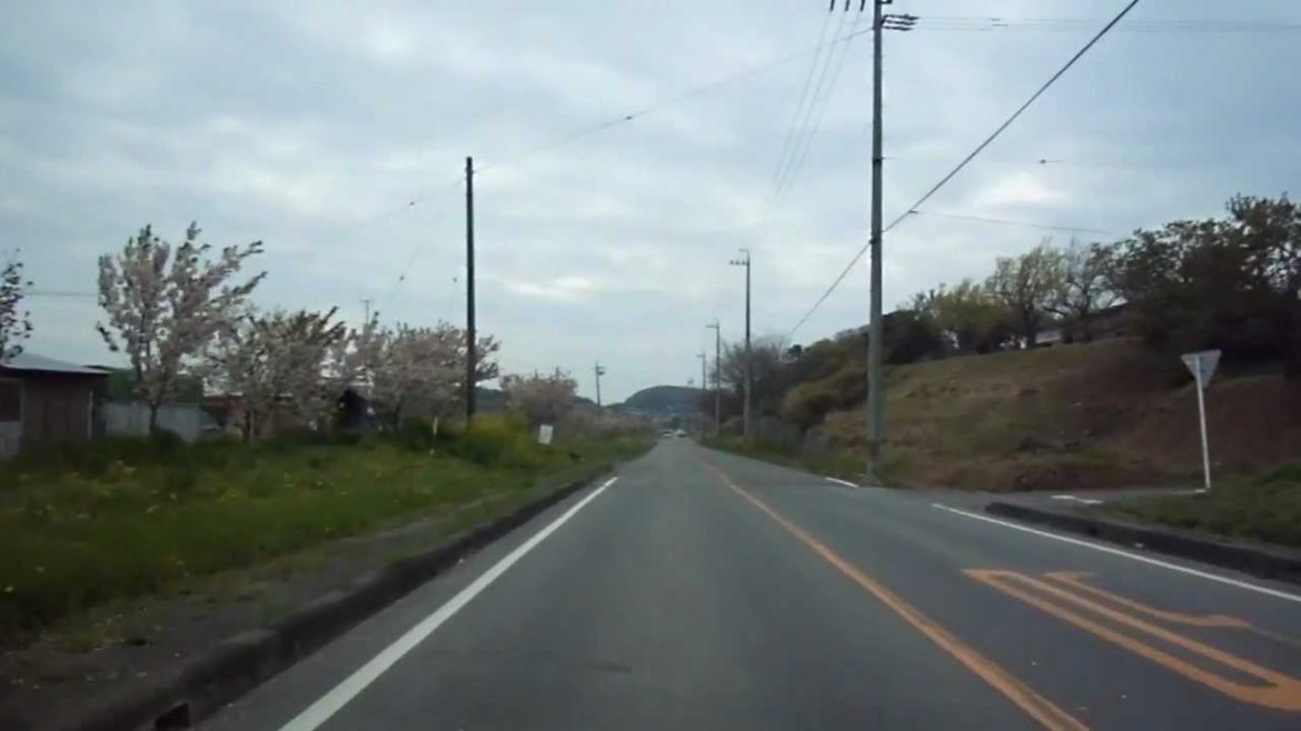 Snowing Petals in Japan!