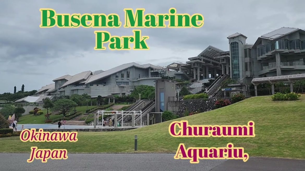 What's In Busena Marine Park | Churaumi Aquarium | Okinawa Japan