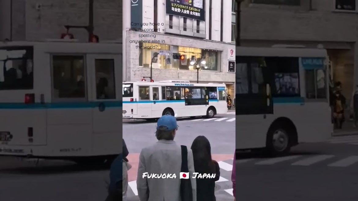 Concert in a Bus?? Concert in a Bus??