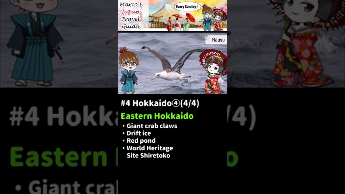 Amazing Hokkaido④ Eastern Hokkaido😍(4/4) #short Amazing Hokkaido④ Eastern Hokkaido😍(4/4) #short