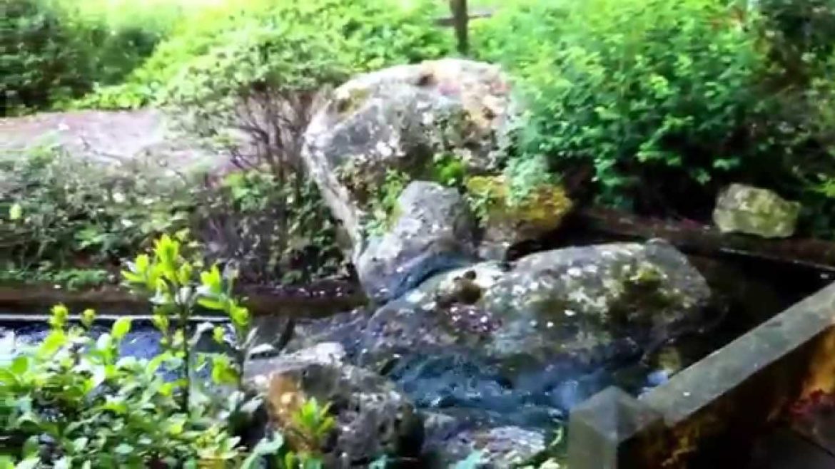 Visit to the Japanese Garden at Botanical Garden in Rome
