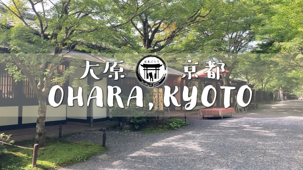 Ohara, Kyoto - Virtual Walking Tour 2022 - 京都大原《4K》