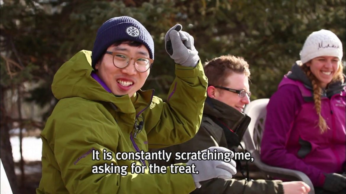 [World Theme Travel] Journey Through Canada, a Winter Wonderland Part 2