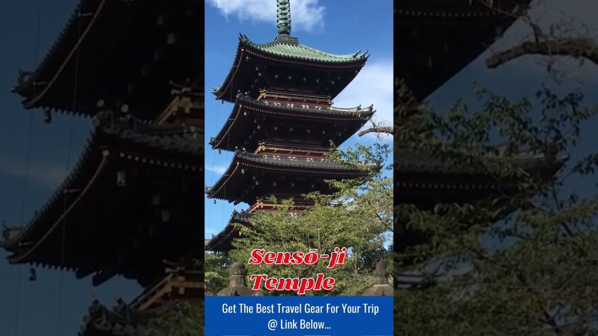 TRAVEL - Top Tokyo Travel Spots #Shorts