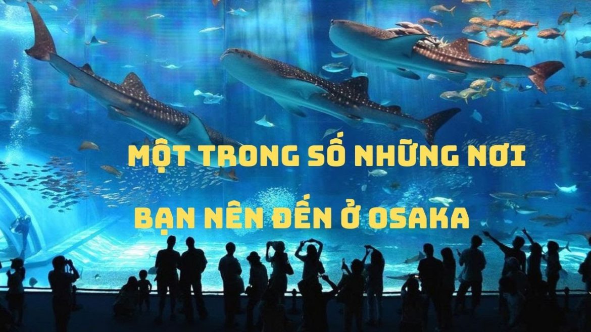 Thủy cung osaka Kaiyukan | Chiều JP