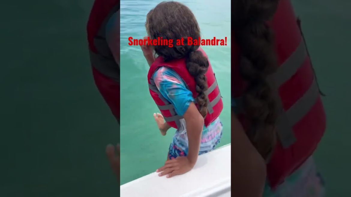 Snorkeling at Playa Balandra | Baja California Sur Mexico Snorkeling at Playa Balandra | Baja California Sur Mexico