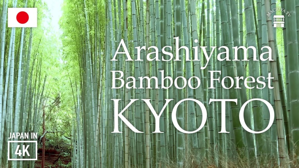Kyoto, Japan | Bamboo Forest (Arashiyama) 4K Asmr