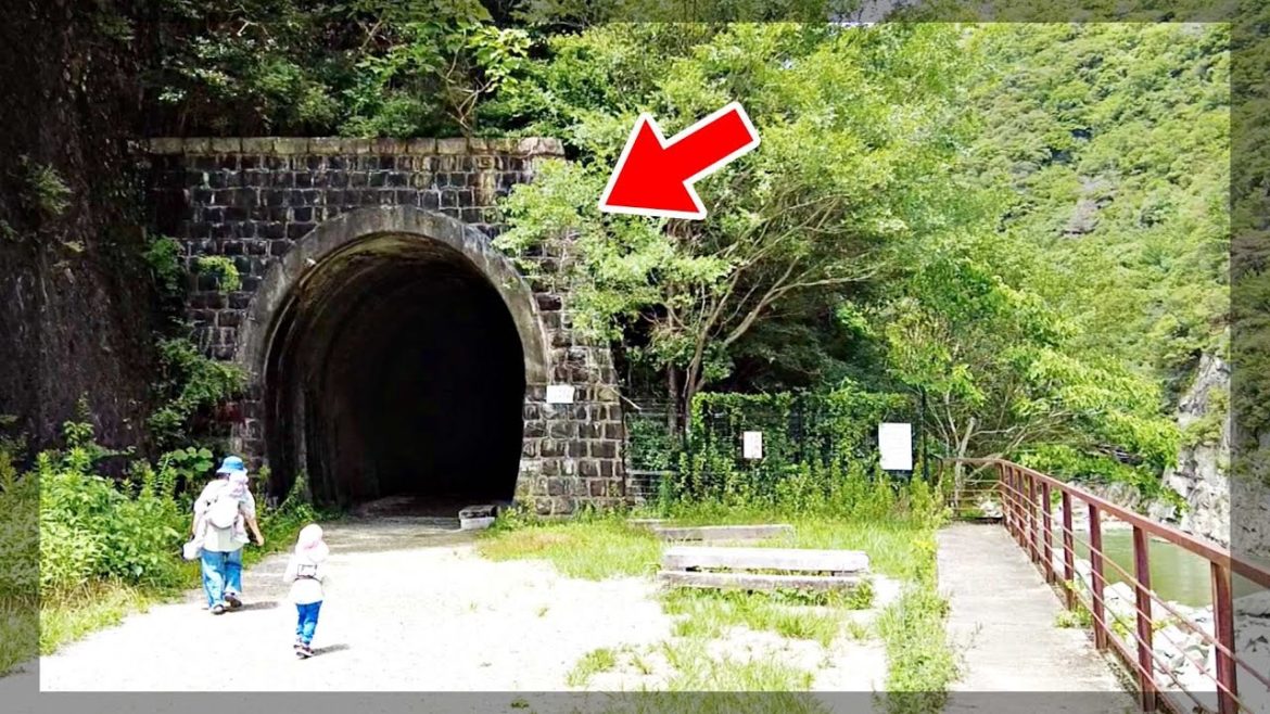 【日本廢棄隧道】舊福知山廢線｜裡面完全的黑暗