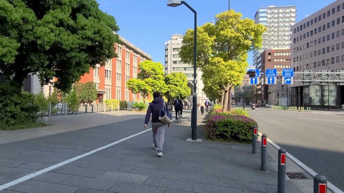 🇯🇵Japan Beautiful Street【Walk the carriage road from Sakuragicho, Yokohama]