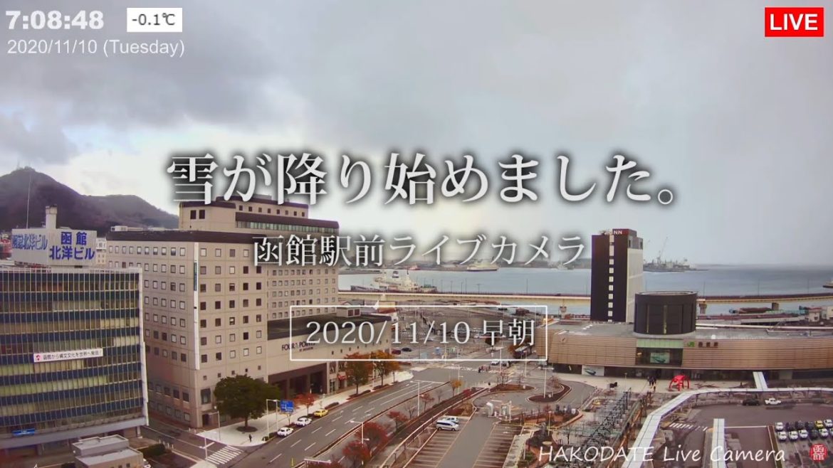 【Clip】早朝に降る函館の雪・2020/11/10
