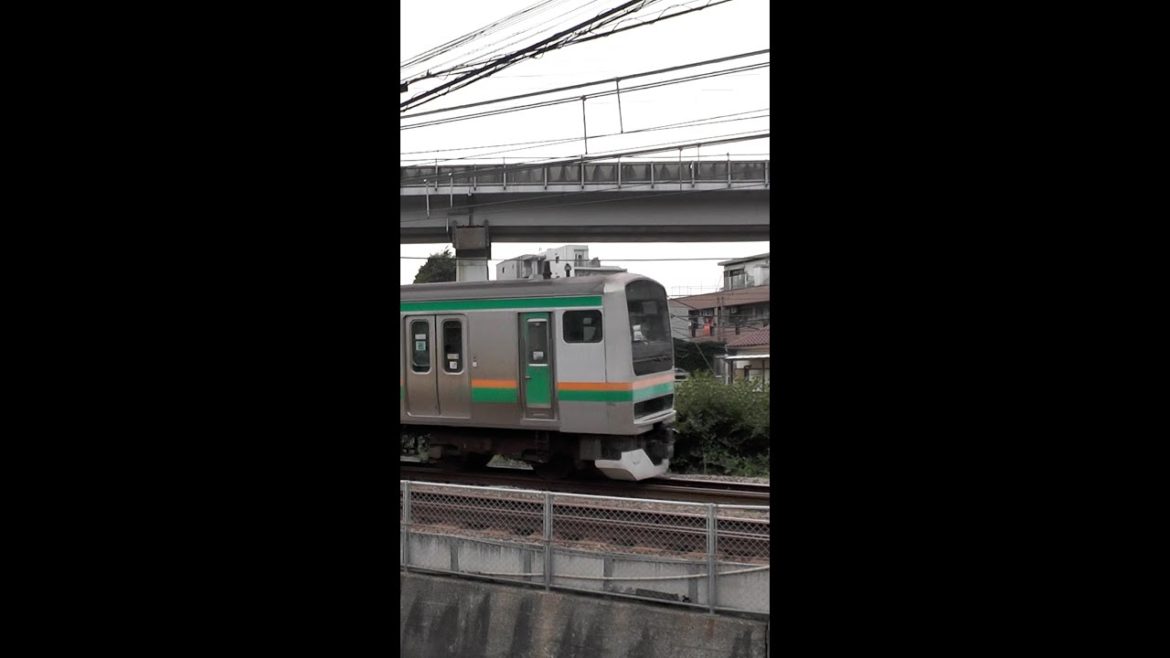 東京都品川区 湘南新宿ライン 相鉄線直通 列車 しながわ中央公園を通過する E231系電車( 前 )とE233系電車( 後 ) #shorts