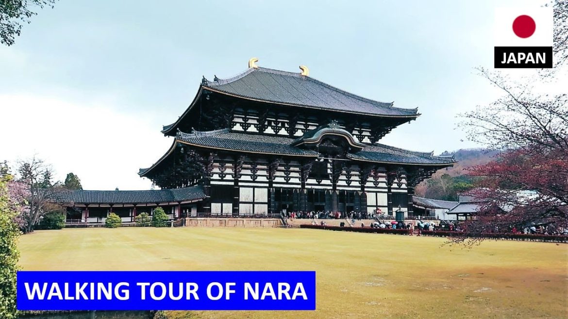 Walking Tour of Nara, Japan - Deer Park, Temples, Gardens 🇯🇵