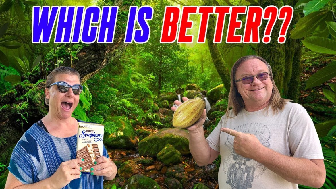 How To Make Fresh Jungle Chocolate At Home!