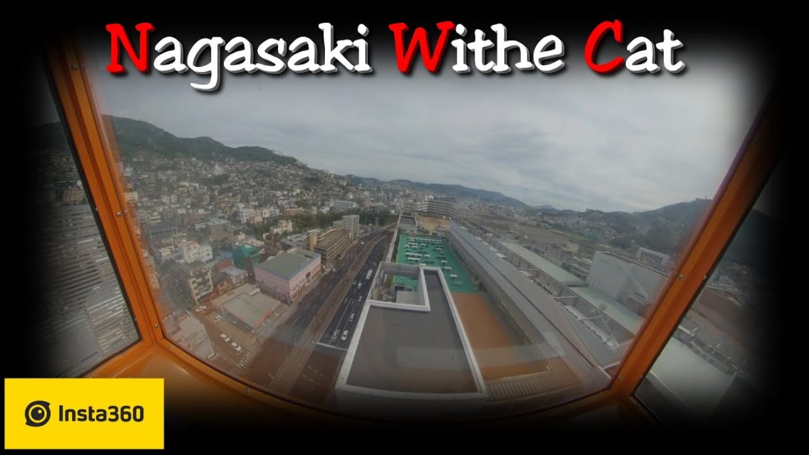 Japan Nagasaki Withe Cat & Adorable Park