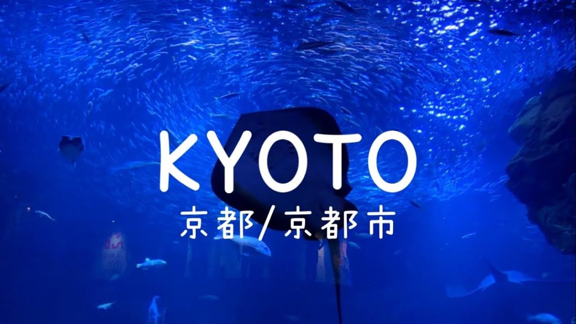 【旅vlog】京都水族館/京都府/京都市/KYOTO/JAPAN