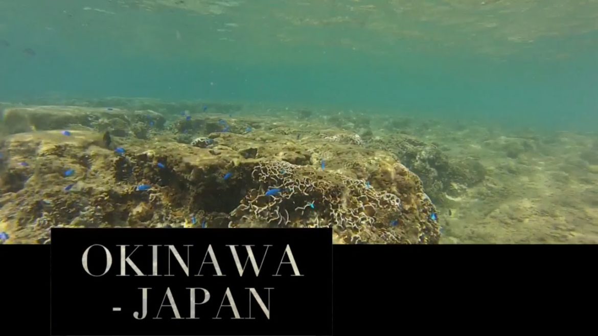 #TAMW Video Post Card - Okinawa Japan