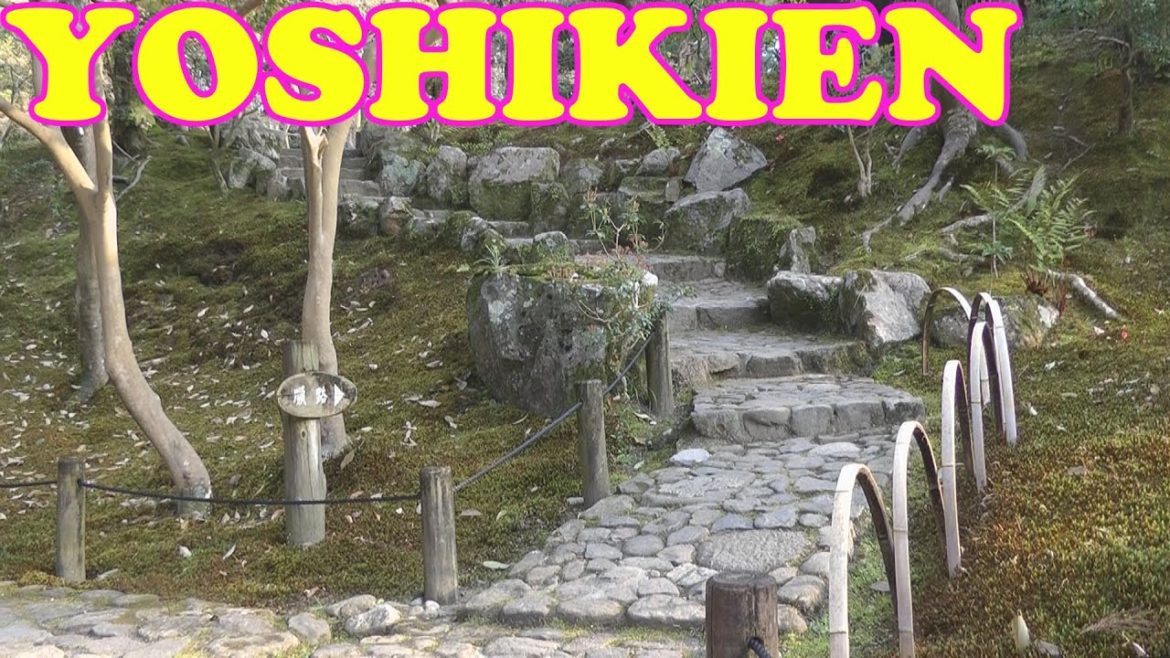 Yoshikien Garden, Nara 🌷 奈良市の吉城園 🌷 Japan As It Truly Is Yoshikien Garden, Nara 🌷 奈良市の吉城園 🌷 Japan As It Truly Is