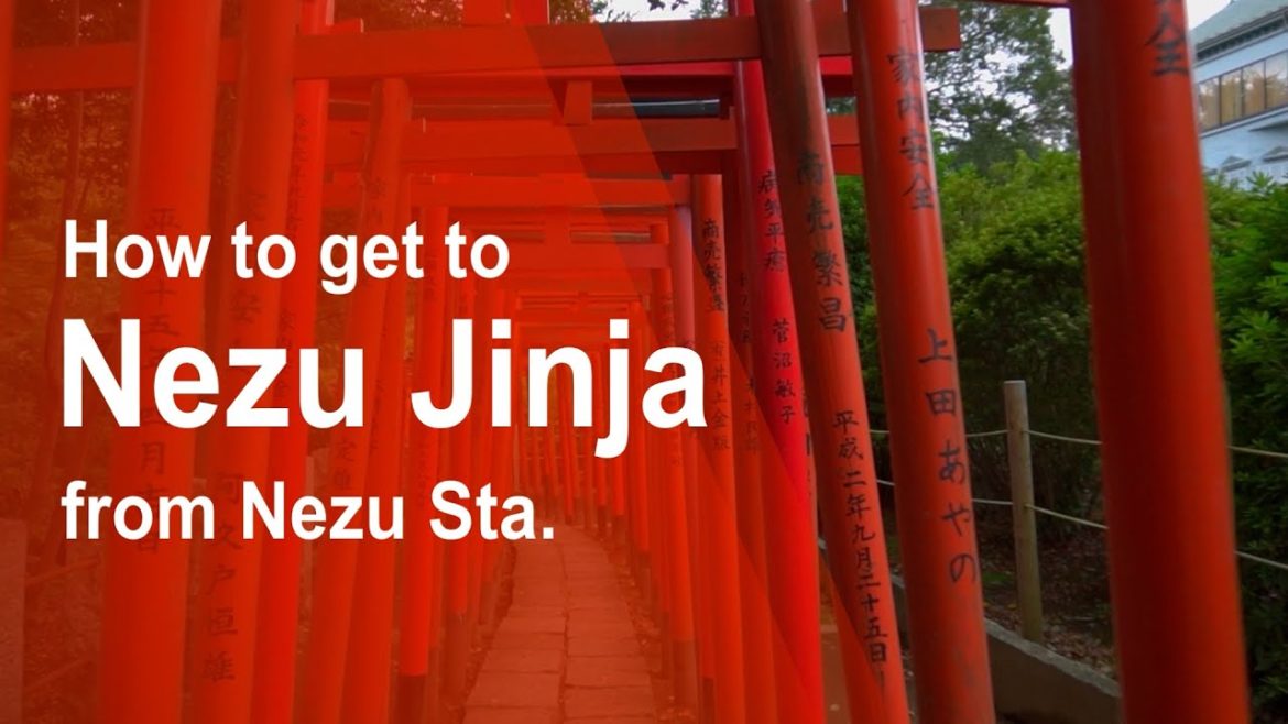 How to get to Nezu Jinja from Nezu Station(Tokyo travel guide）