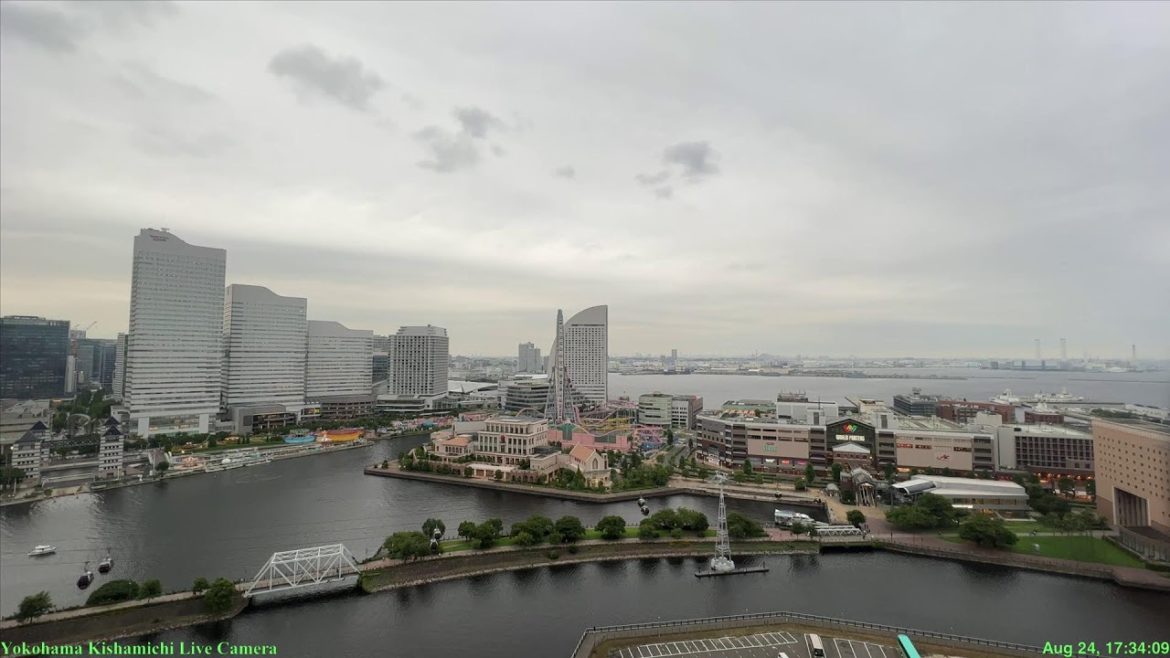 🔴Live Cam Yokohama Japan /横浜汽車道Liveパノラマカメラ 24 Aug 2022 🔴Live Cam Yokohama Japan /横浜汽車道Liveパノラマカメラ 24 Aug 2022